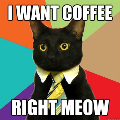coffee-business-cat